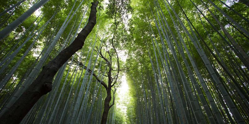 方案实战教程：手把手教你操作